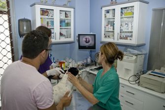 Clínica Veterinaria Jaira veterinaria con medicos