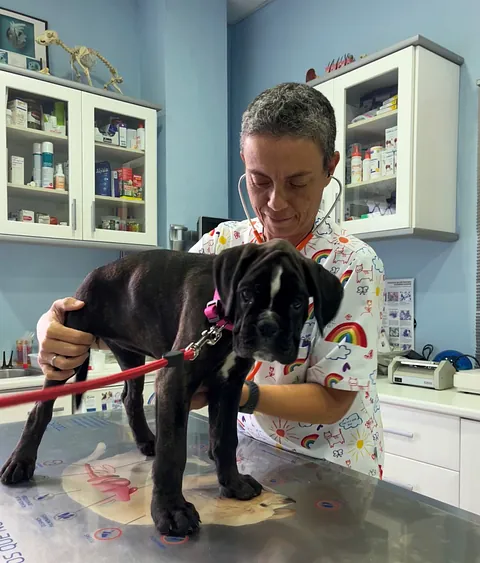 Clínica Veterinaria Jaira veterinario explicando