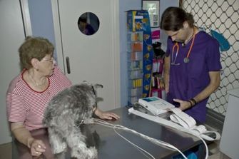 Clínica Veterinaria Jaira perro sentado sobre mesa